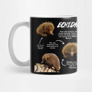 Echidna Fun Facts Mug